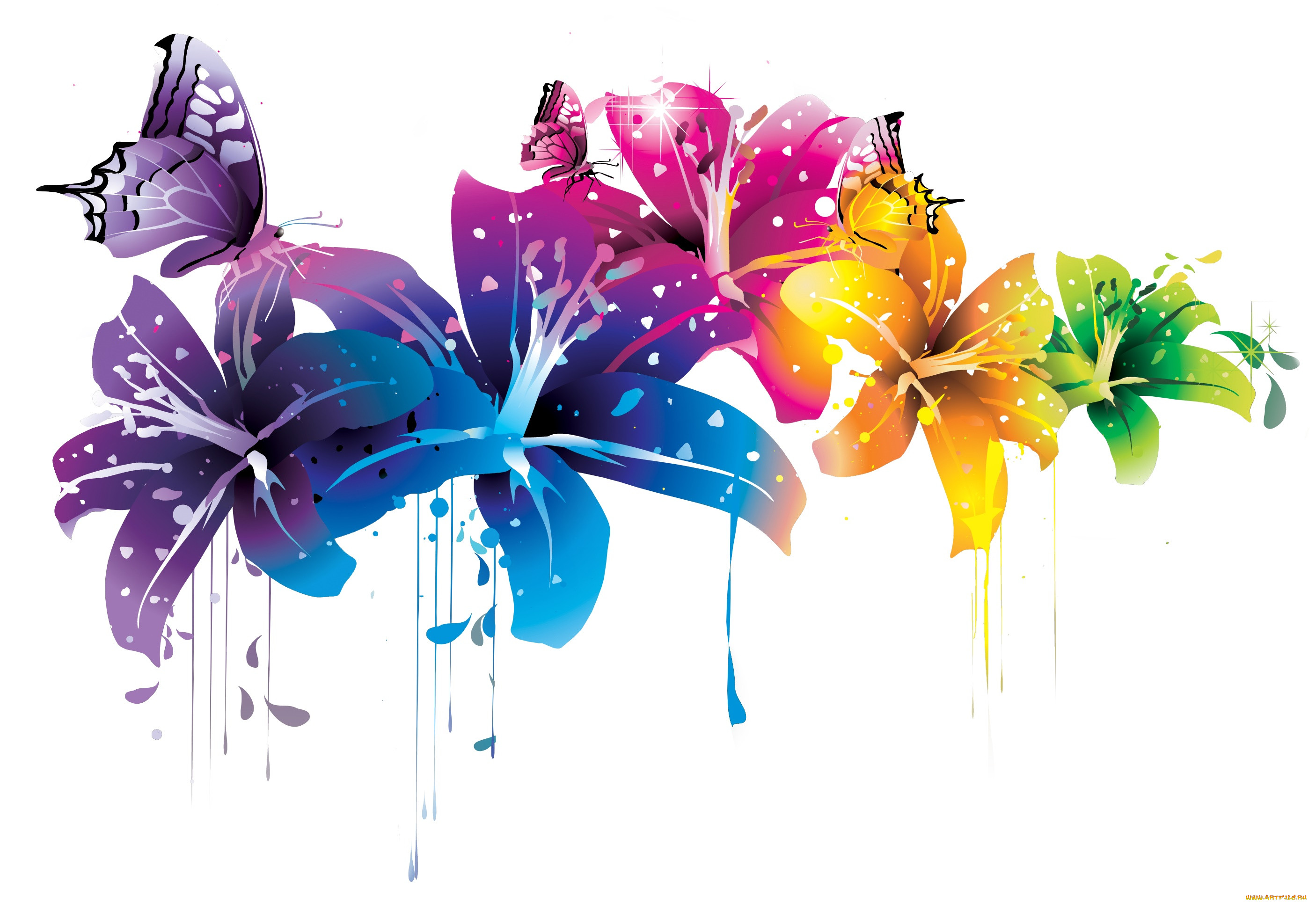  ,  , flowers, , 